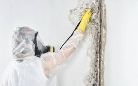 Best Industrial Mold Remediation  in Ephrata, WA